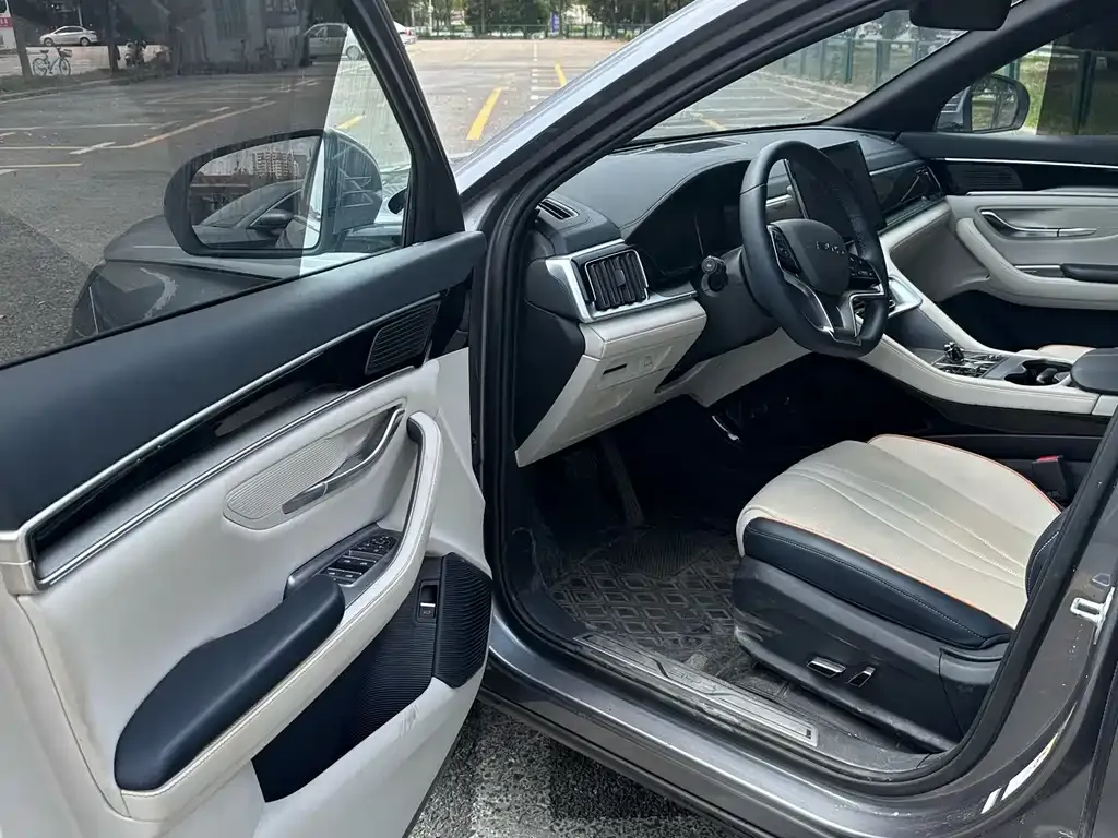BYD PLUS New Energy 2023 из CN, фото 4
