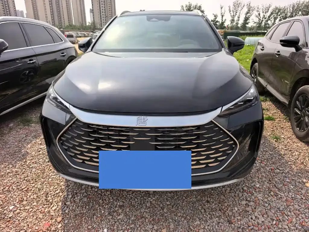 BYD Tang New Energy 2024 из CN, фото 6