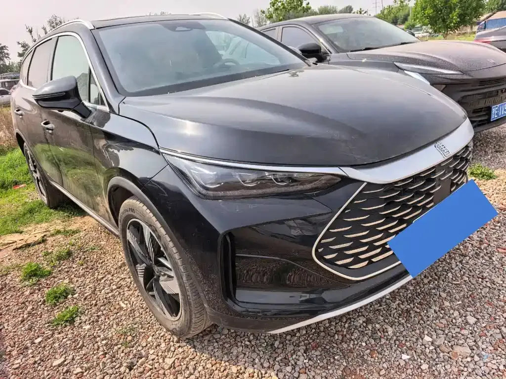 BYD Tang New Energy 2024 из CN, фото 9