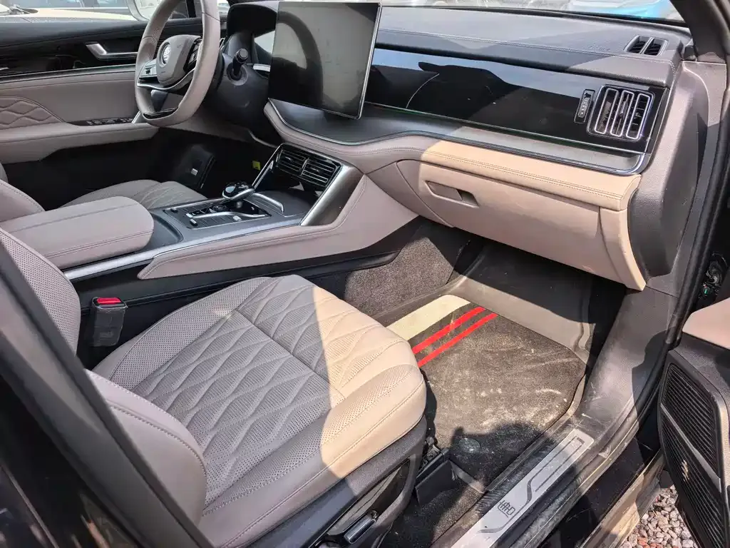 BYD Tang New Energy 2024 из CN, фото 5