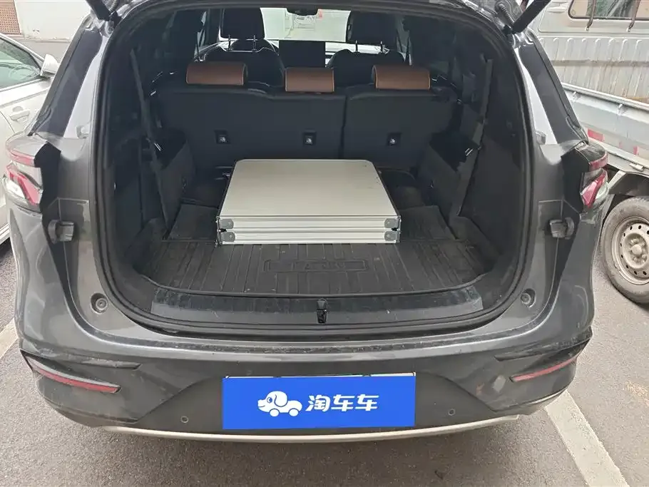BYD Tang New Energy 2023 из CN, фото 4