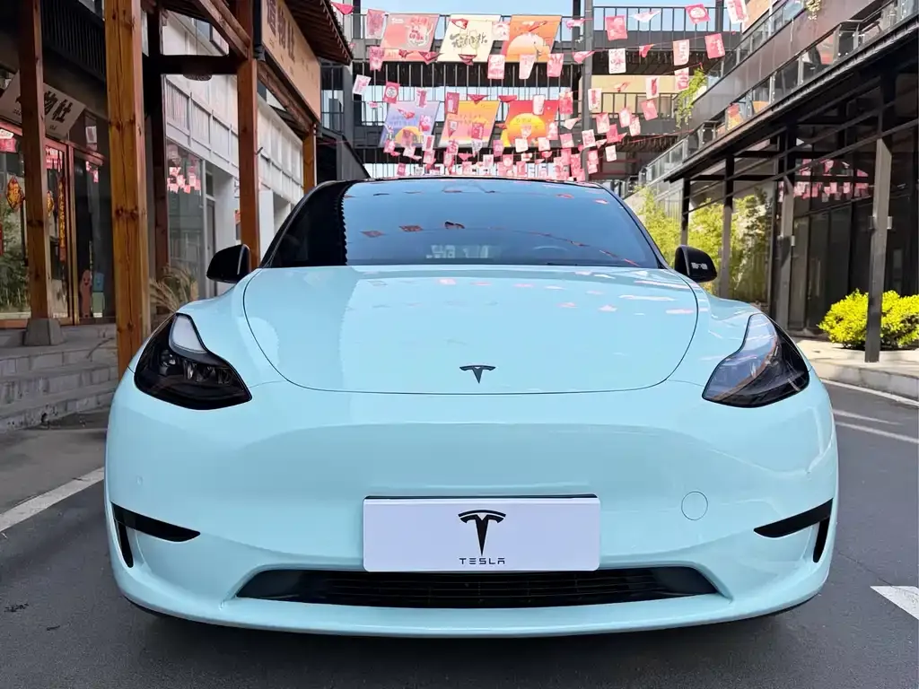Tesla Model Y — фото 8