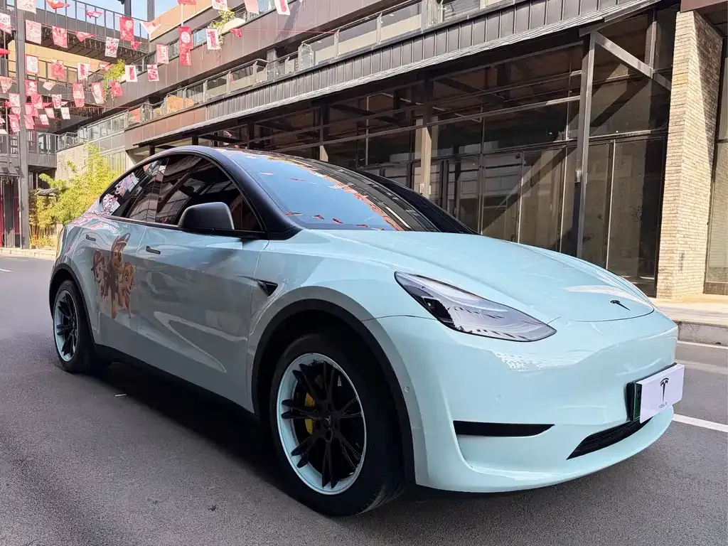 Tesla Model Y — фото 6