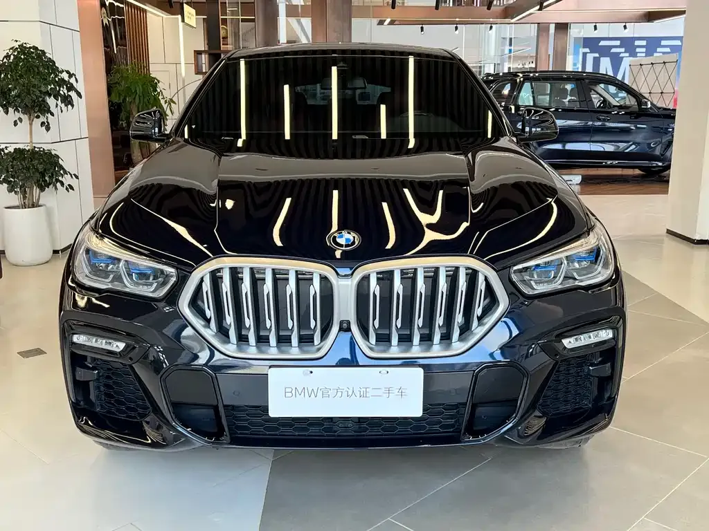 BMW X6 — фото 9