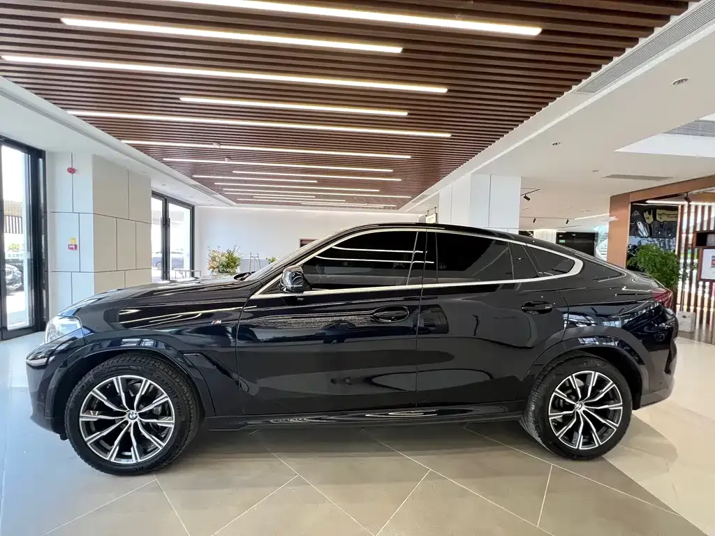 BMW X6 — фото 10