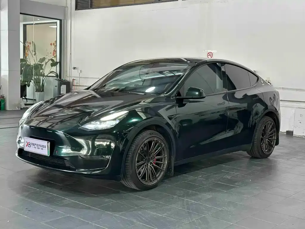 Tesla Model Y 2022 из CN, фото 1