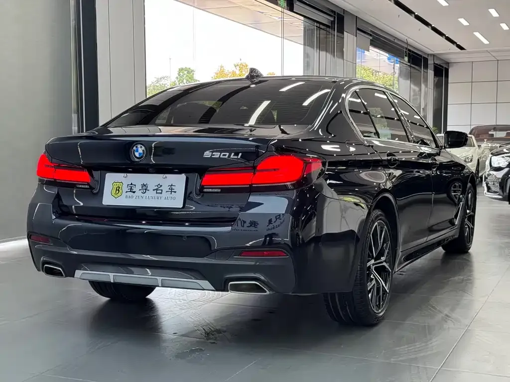 BMW 5 Series — фото 10