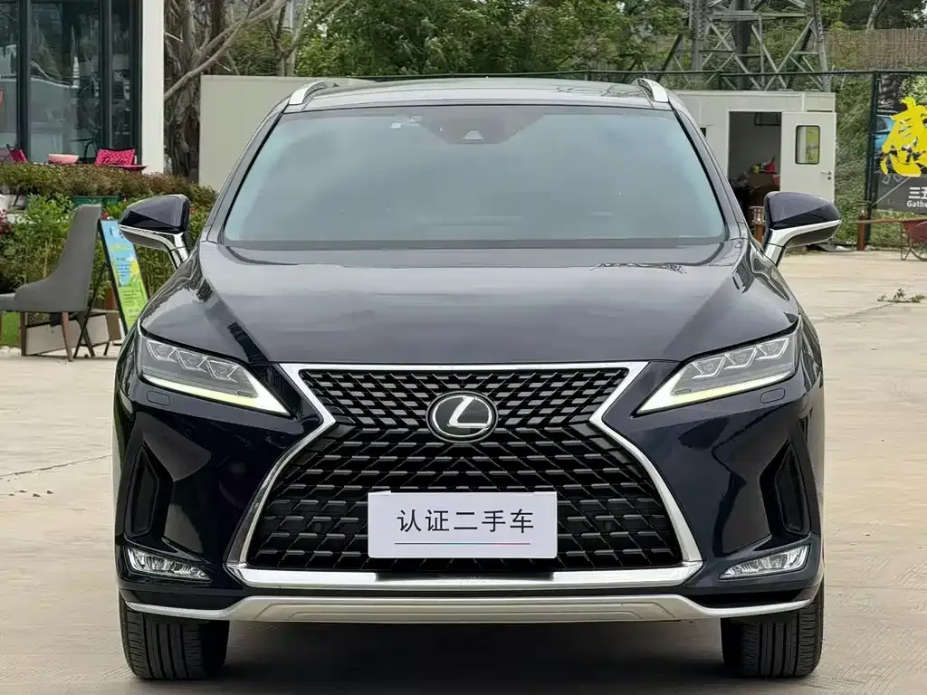 Lexus RX 2022 из CN, фото 2