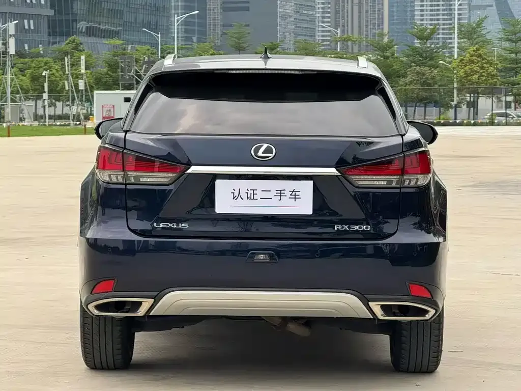 Lexus RX 2022 из CN, фото 7