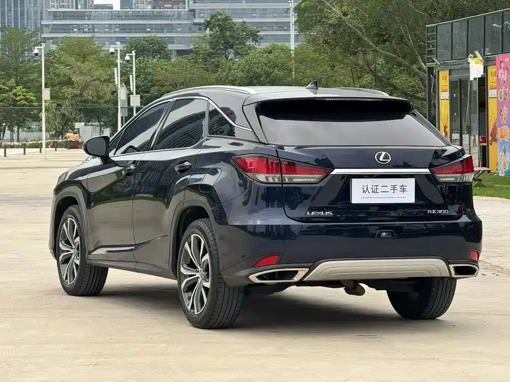 Lexus RX 2022 из CN, фото 8