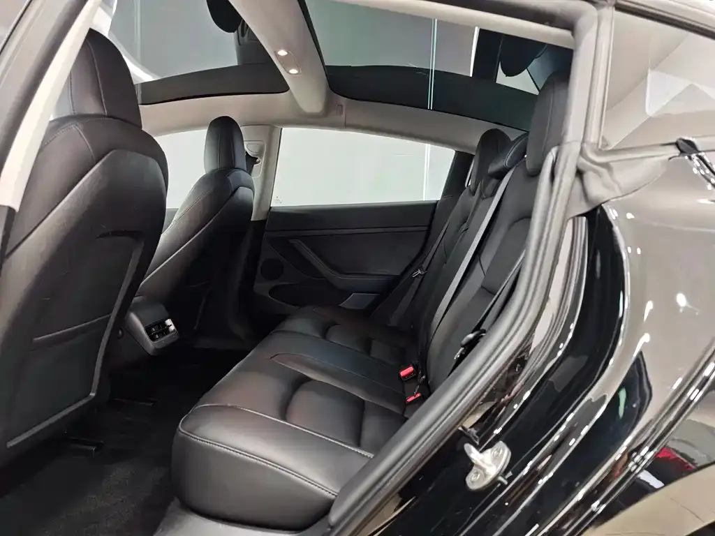 Tesla Model 3 2022 из CN, фото 2