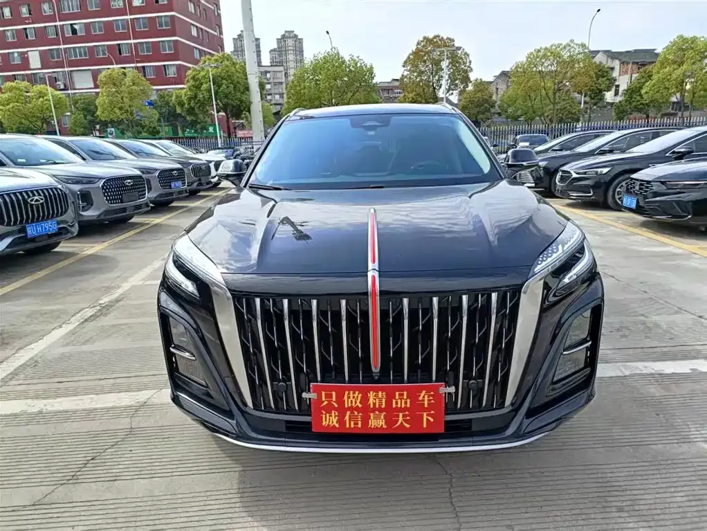 Hongqi HS3 — фото 10