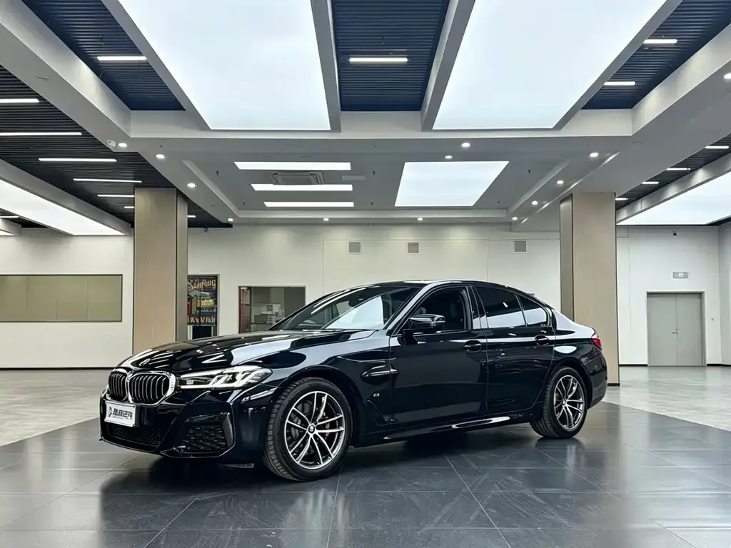 BMW 5 Series (Import)