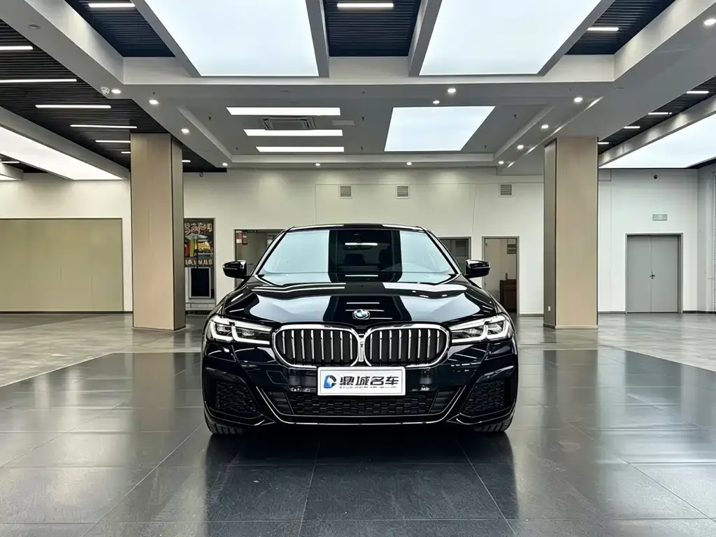 BMW 5 Series (Import) 2023 из CN, фото 9