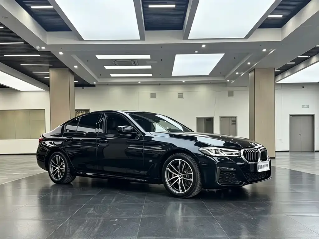 BMW 5 Series (Import) 2023 из CN, фото 7