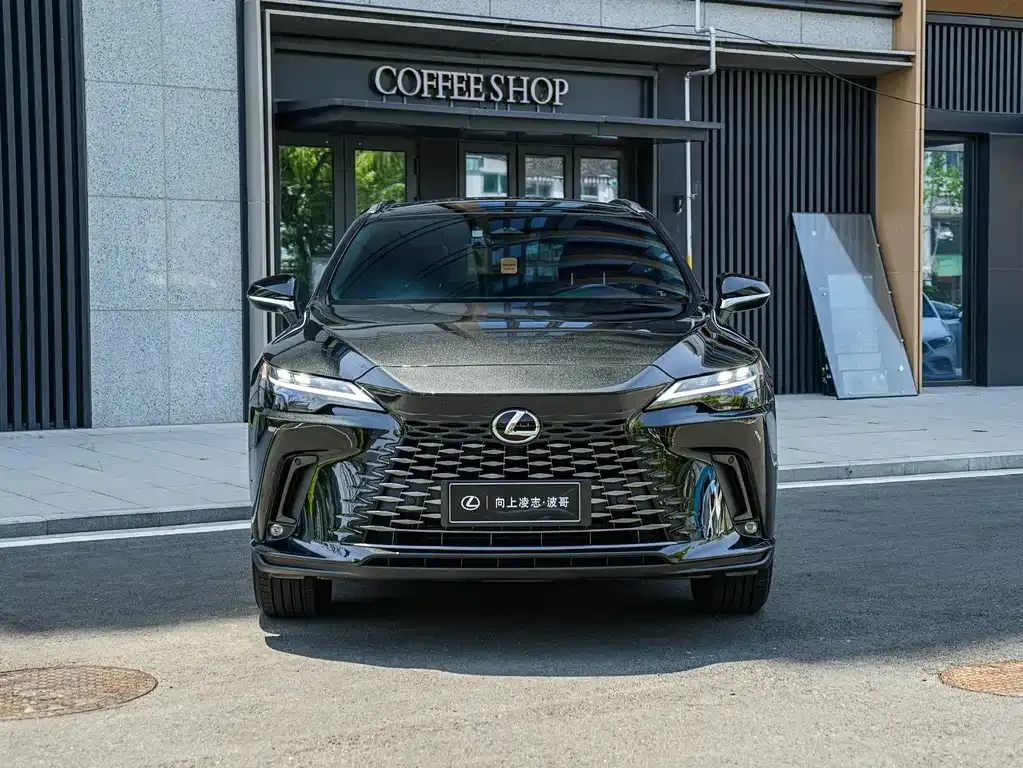 Lexus RX — фото 9