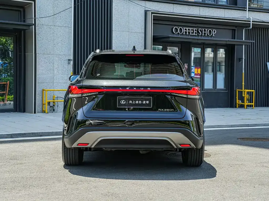 Lexus RX — фото 10