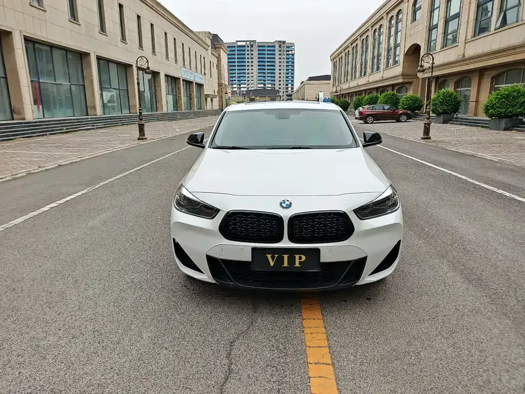 BMW X2 2023 из CN, фото 10