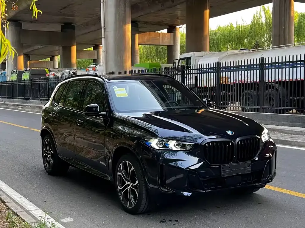 BMW X5 — фото 5
