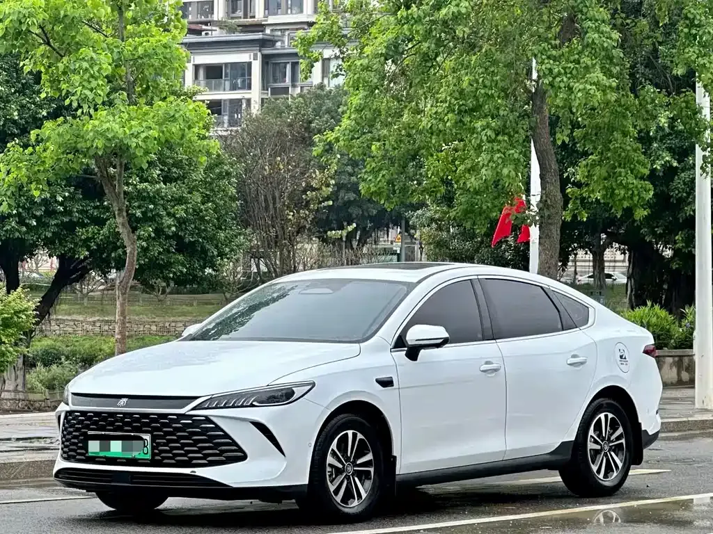 BYD Qin PLUS — фото 1