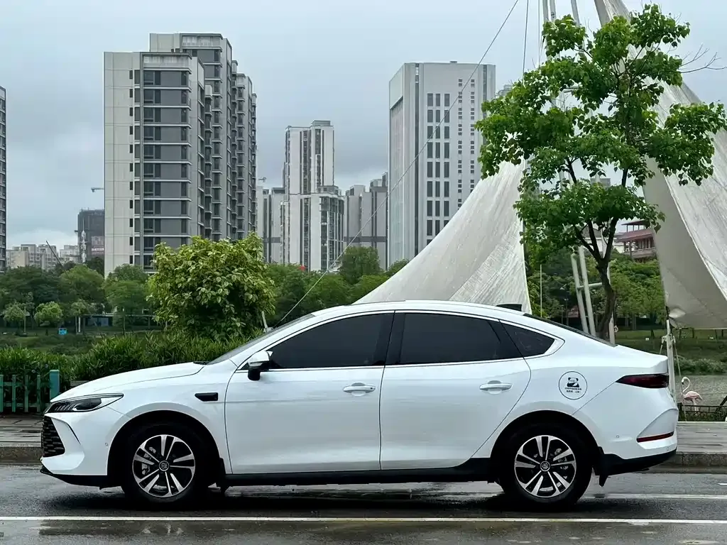 BYD Qin PLUS — фото 6