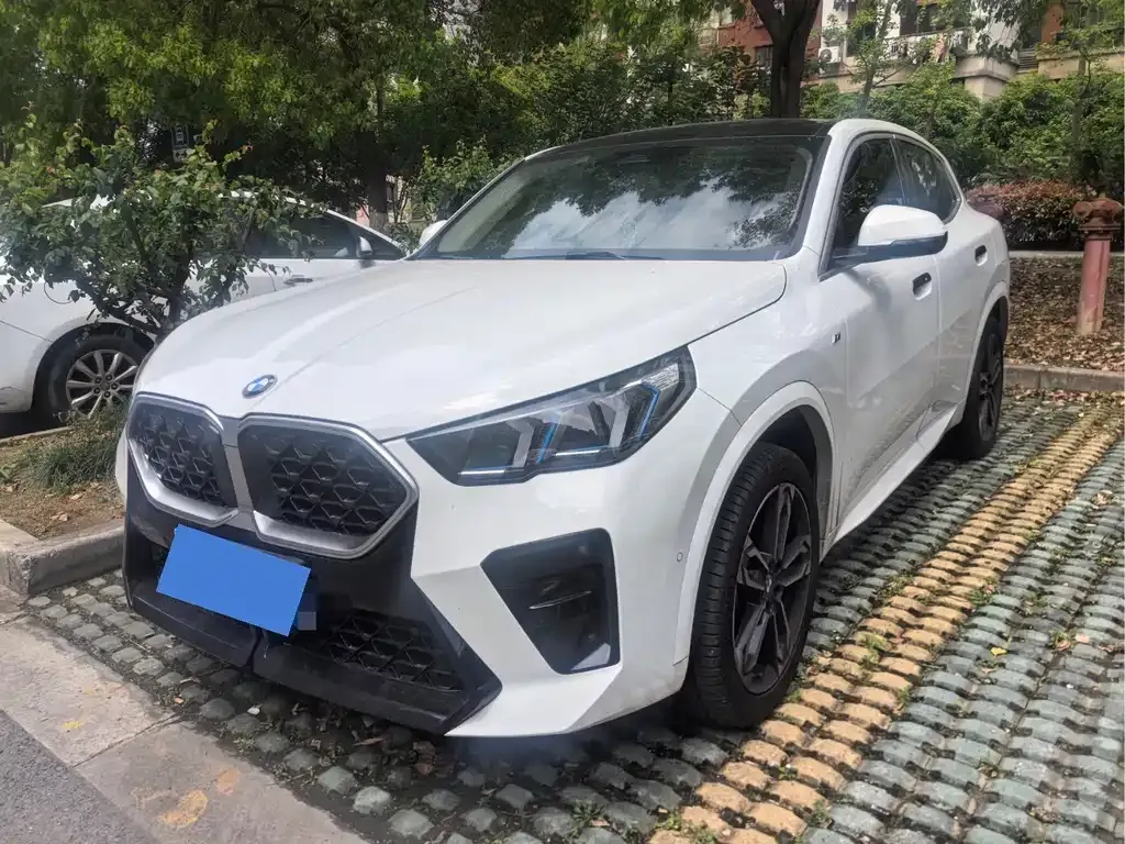 BMW X2 (Import) 2025 из CN, фото 1