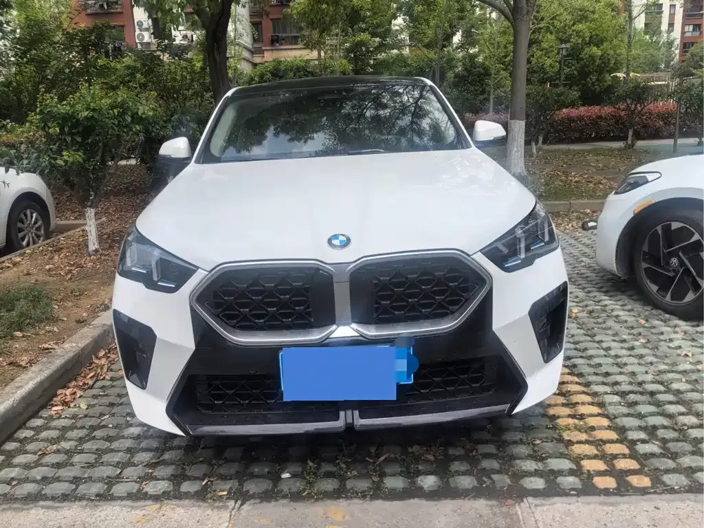 BMW X2 (Import) 2025 из CN, фото 5