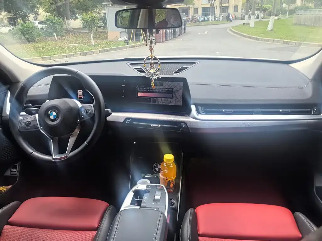 BMW X2 (Import) 2025 из CN, фото 7