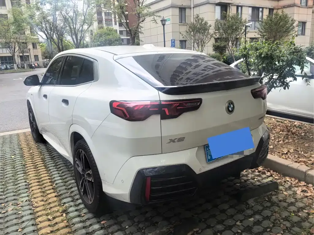 BMW X2 (Import) 2025 из CN, фото 4