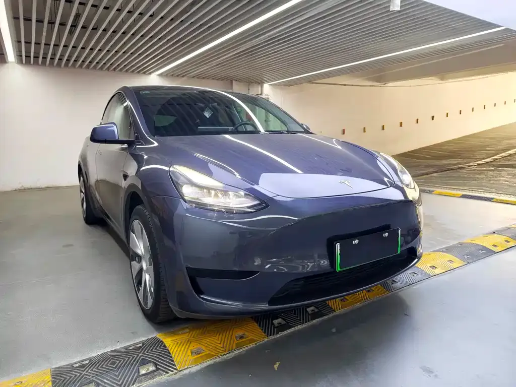 Tesla Model Y — фото 10