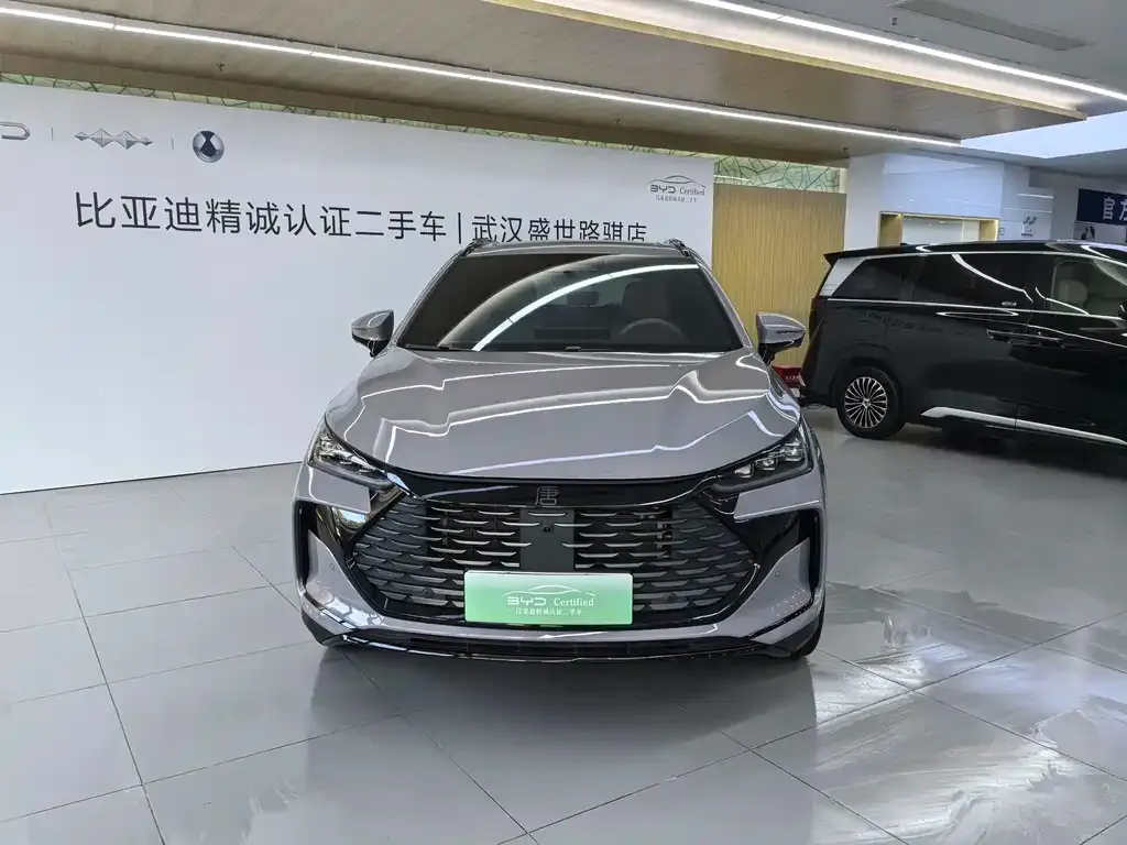 BYD Tang New Energy — фото 4