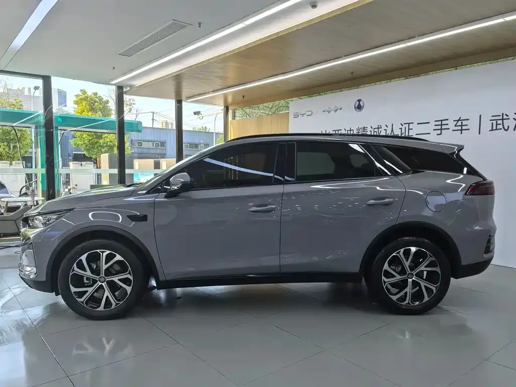 BYD Tang New Energy — фото 2