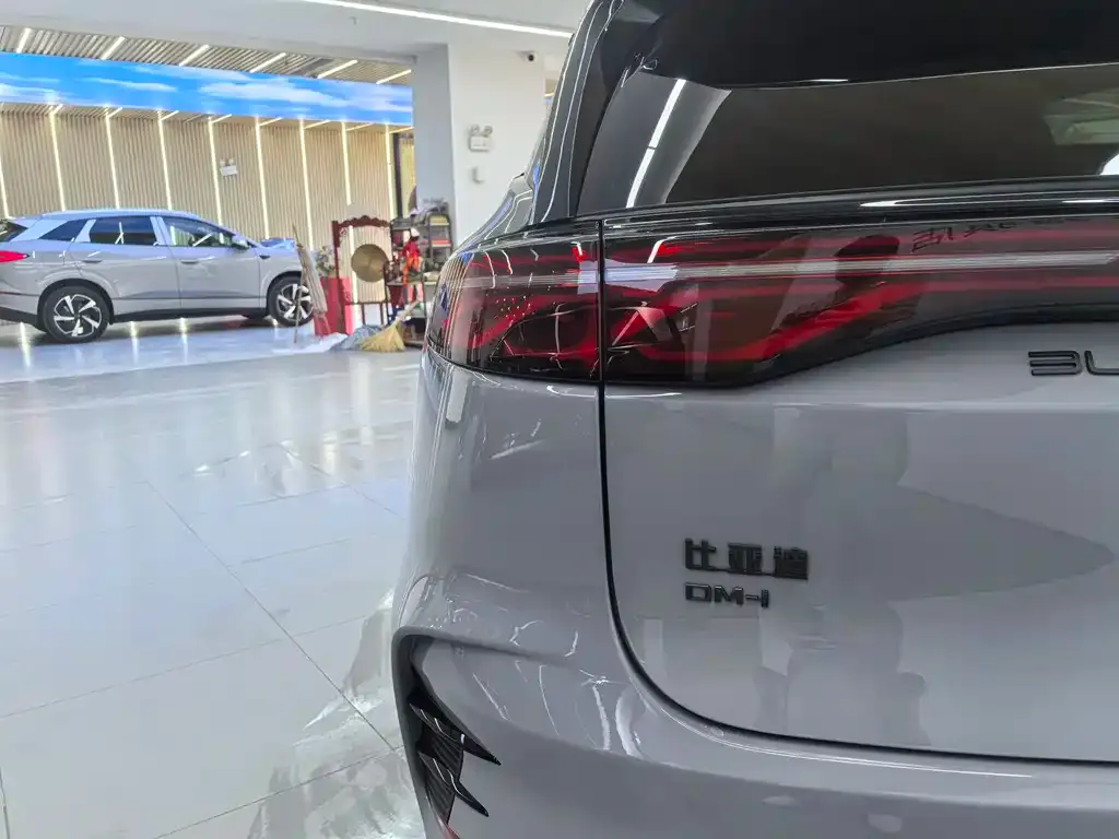 BYD Tang New Energy — фото 10