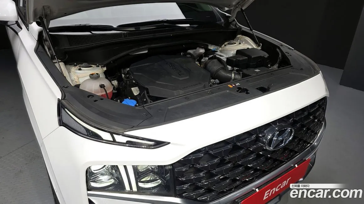 Hyundai Santafe 2021 из KR, фото 9