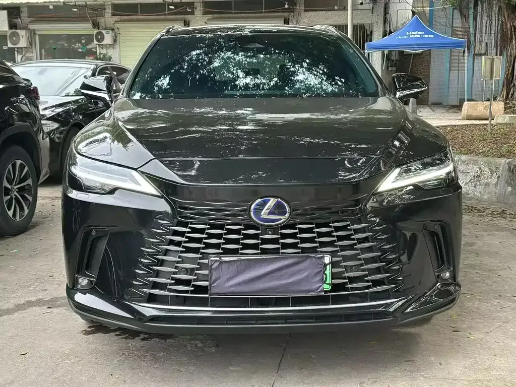 Lexus RX New Energy 2024 из CN, фото 4