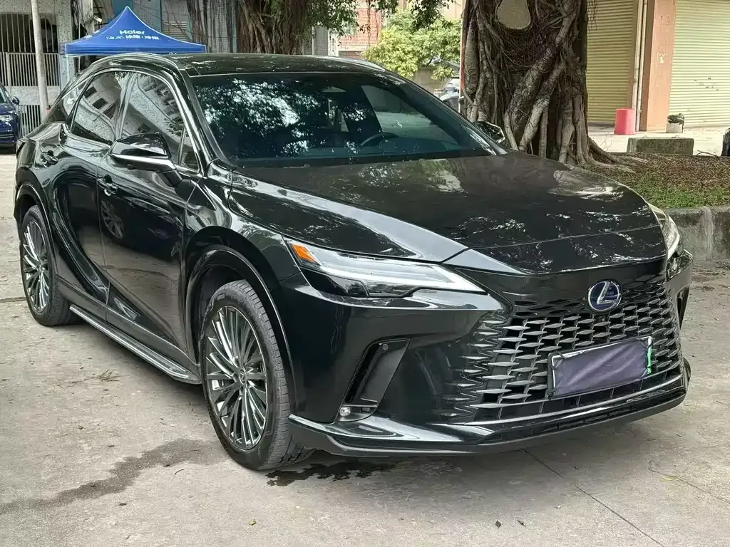 Lexus RX New Energy 2024 из CN, фото 9
