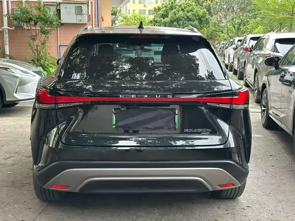 Lexus RX New Energy 2024 из CN, фото 7