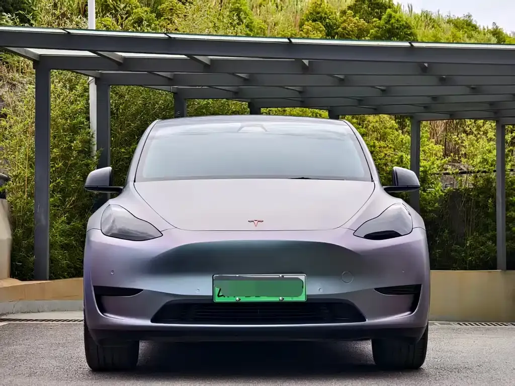 Tesla Model Y — фото 10