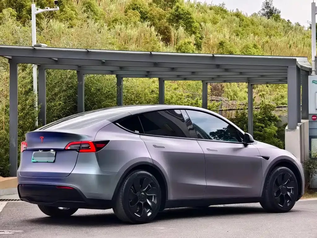 Tesla Model Y — фото 5