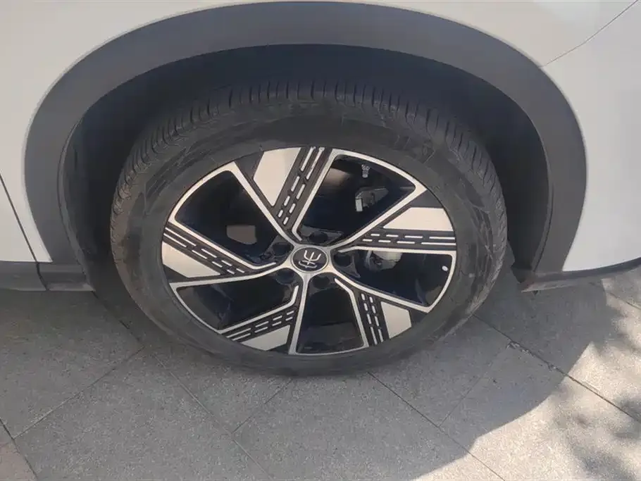 BYD Pro New Energy — фото 6