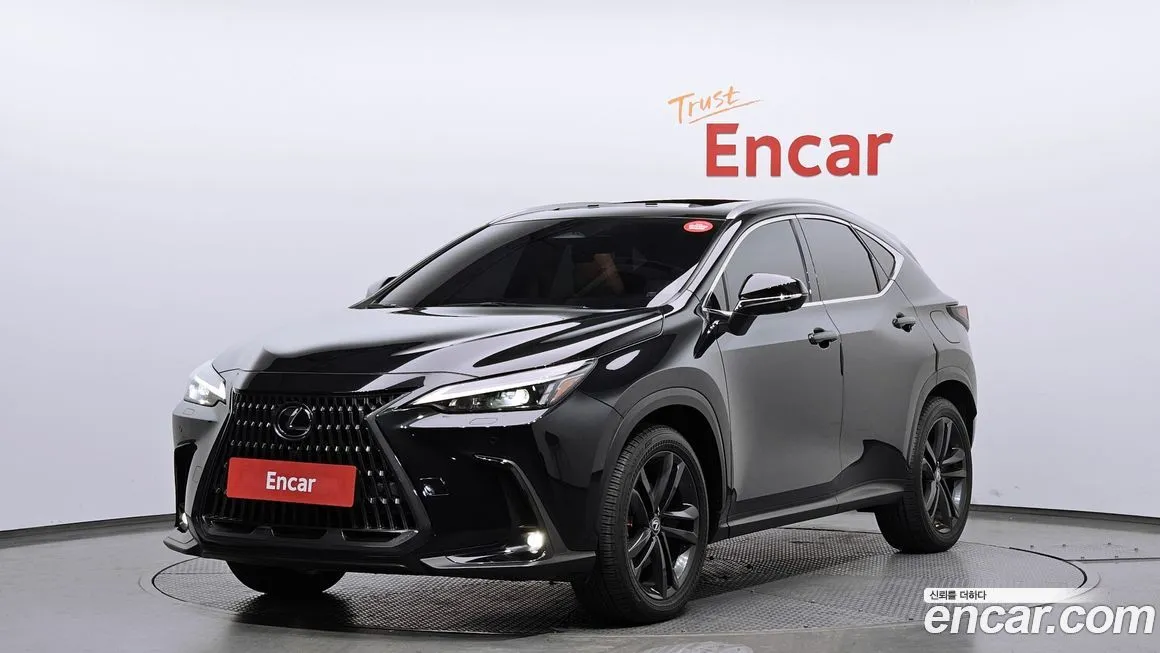 Lexus NX 2023 из KR, фото 1