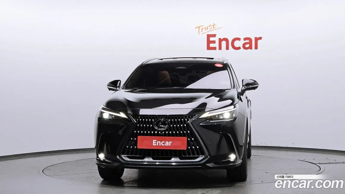 Lexus NX 2023 из KR, фото 4