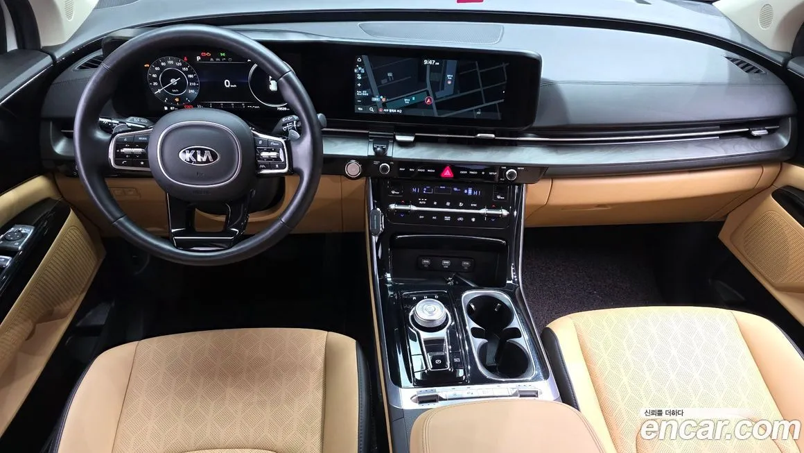 Kia Carnival — фото 10