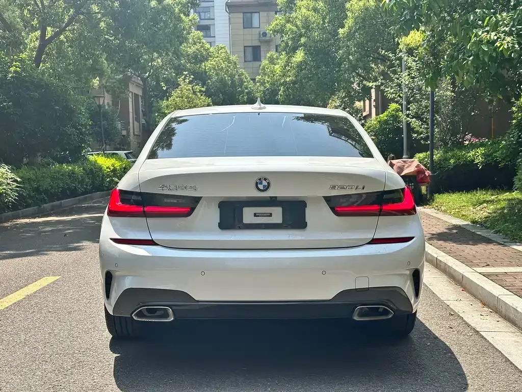 BMW 3 Series 2021 из CN, фото 7