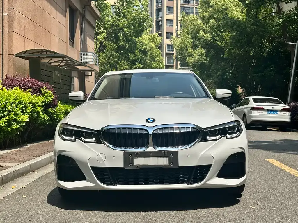 BMW 3 Series 2021 из CN, фото 9