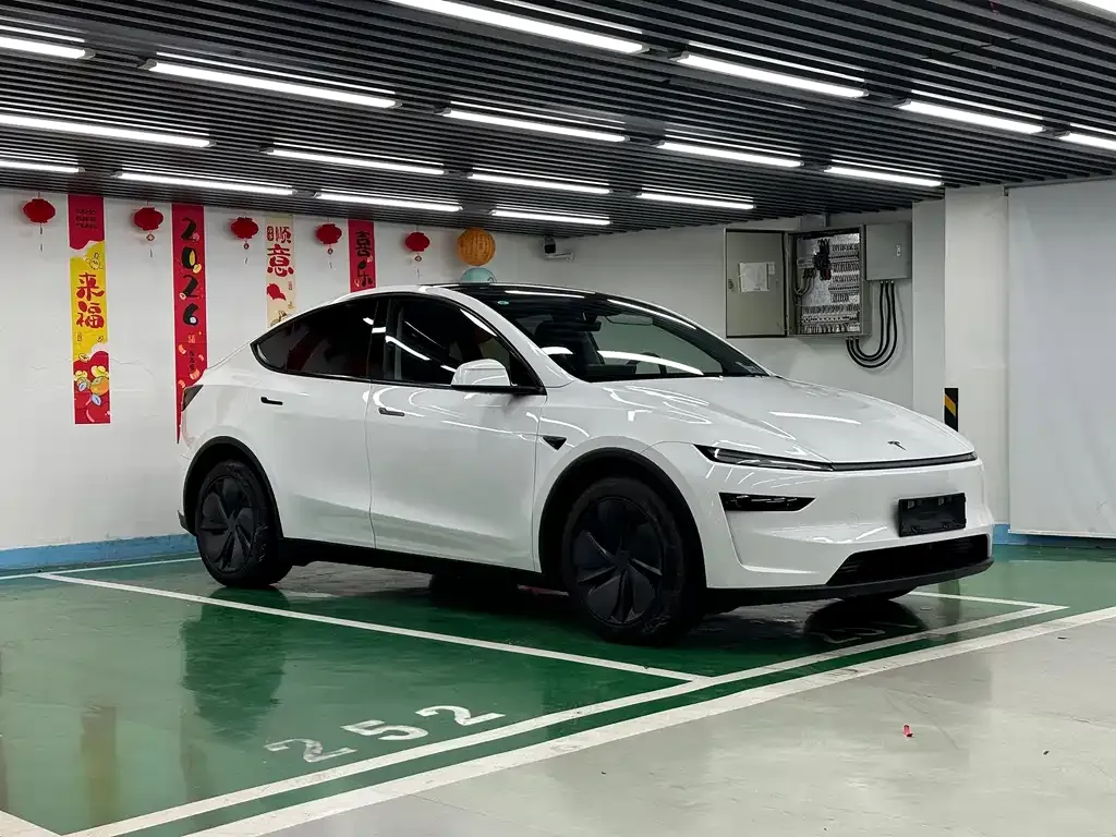 Tesla Model Y — фото 9