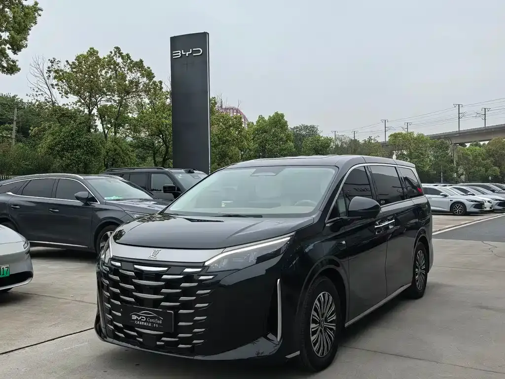 BYD Xia 2025 из CN, фото 1