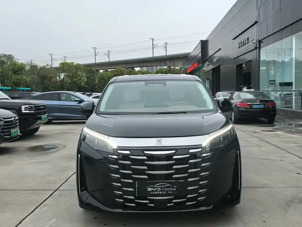 BYD Xia 2025 из CN, фото 5