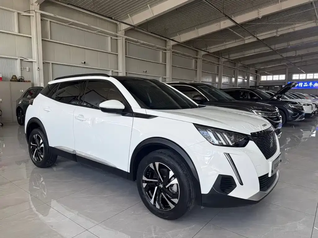 Peugeot 2008 2022 из CN, фото 4
