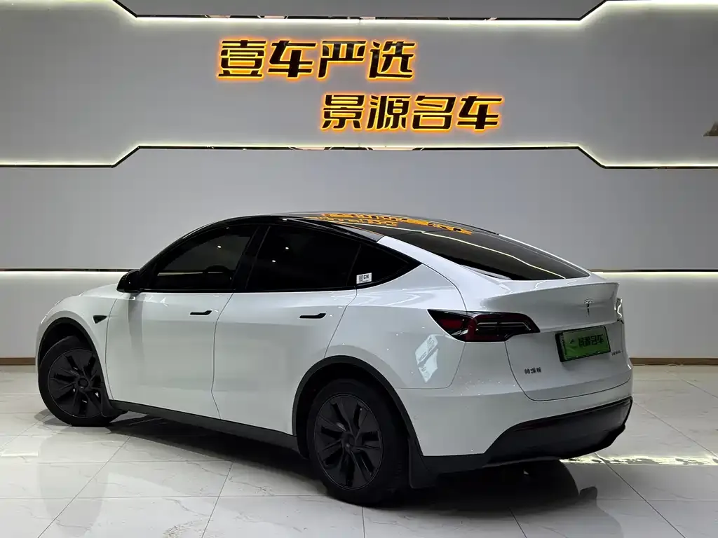 Tesla Model Y — фото 10